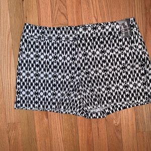 New York and company shorts